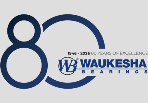 WB 80th Anniversary Logo